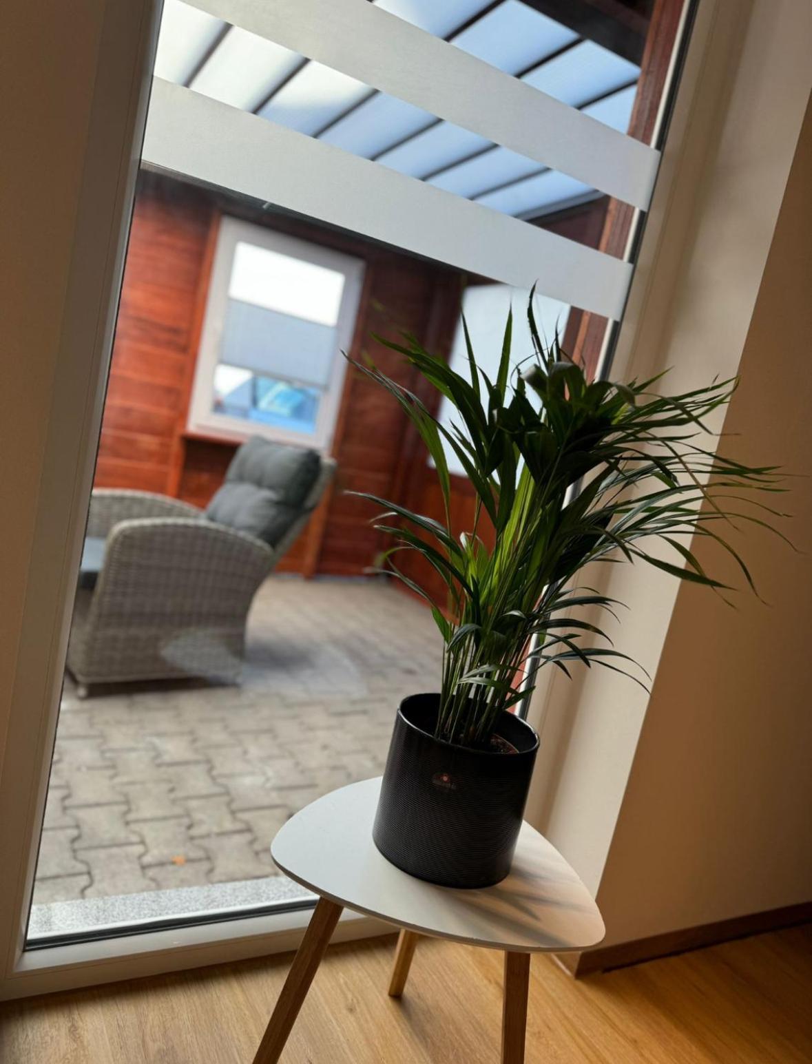 Ferienwohnung Neue Quickbox Thale Luaran gambar